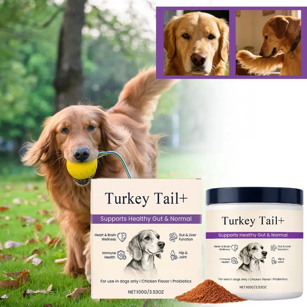 Dog Probiotic Intestinal Powder Delicious Bacon Flavor Digestive Support Long Shelf Life Premium Pet Health Supplement
