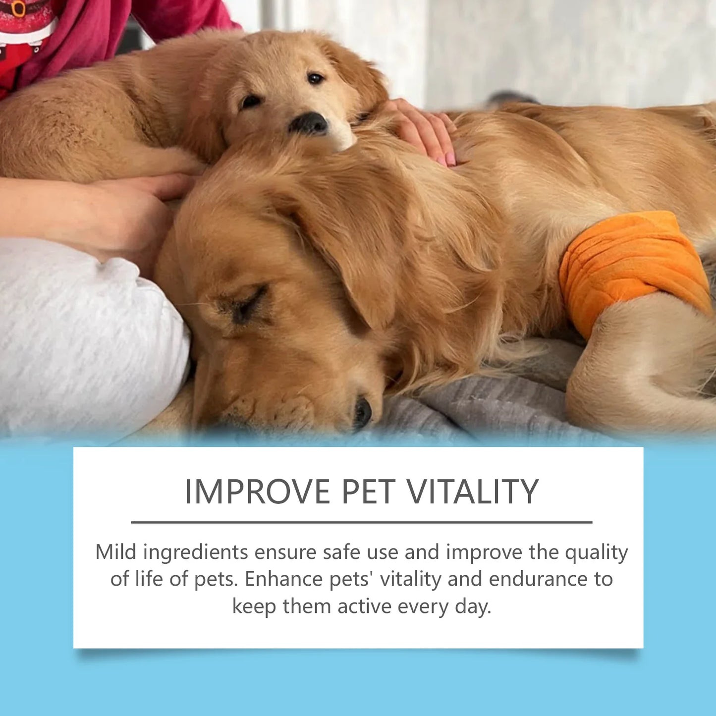 Strong Bones Pet Vitamin Supplement Drops Promote Calcium Absorption Boost Immunity Enhance Vitality Dietary Supplement Drops