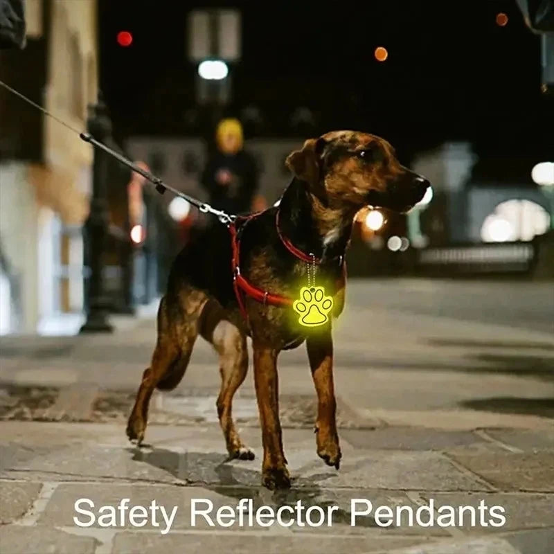 Glowing Led Dog Leash Usb Rechargeable Pet Dog Flashing Nylon Webbing Leashes- 3 Lighting Modes Keep Your Pets Safe In Darkness