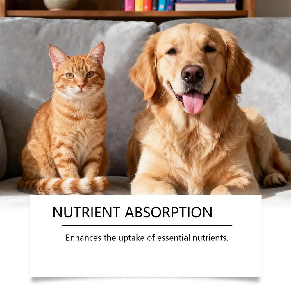 60ML Pet Nutrition Supplement Probiotic Drops Containing Enzymes Used For Pet Digestion And Immune Daily Health Supplement