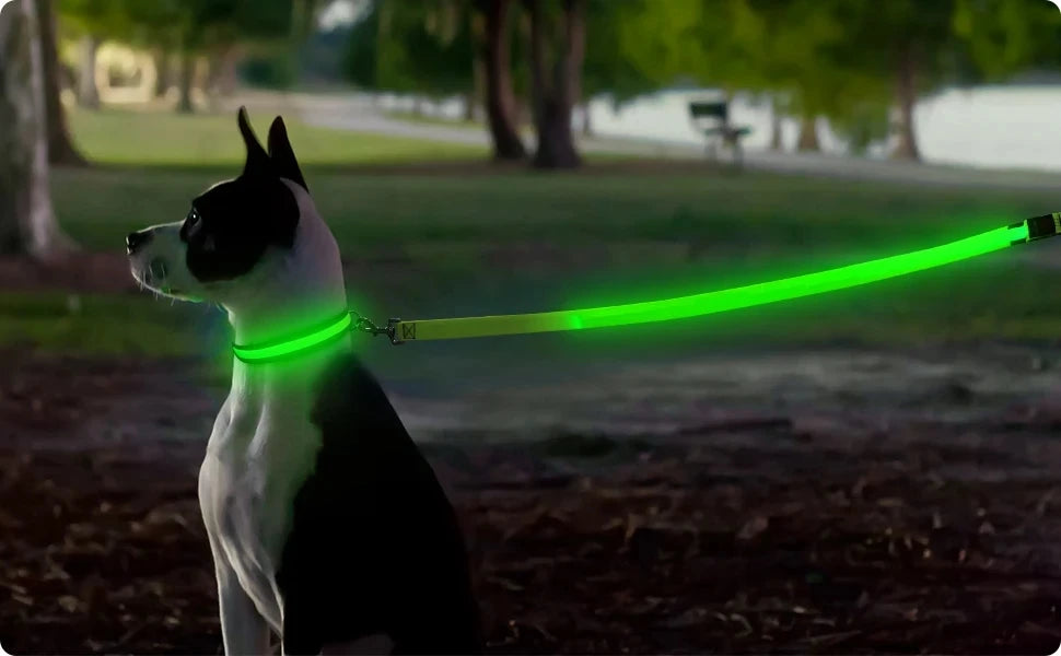 Glowing Led Dog Leash Usb Rechargeable Pet Dog Flashing Nylon Webbing Leashes- 3 Lighting Modes Keep Your Pets Safe In Darkness