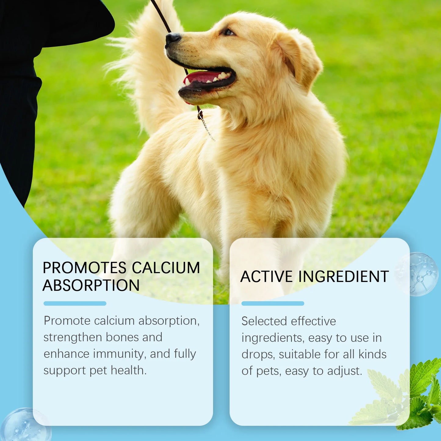 Strong Bones Pet Vitamin Supplement Drops Promote Calcium Absorption Boost Immunity Enhance Vitality Dietary Supplement Drops