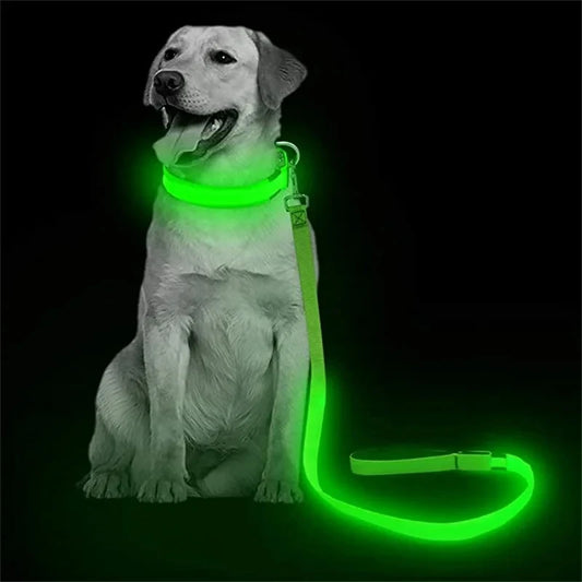 Glowing Led Dog Leash Usb Rechargeable Pet Dog Flashing Nylon Webbing Leashes- 3 Lighting Modes Keep Your Pets Safe In Darkness