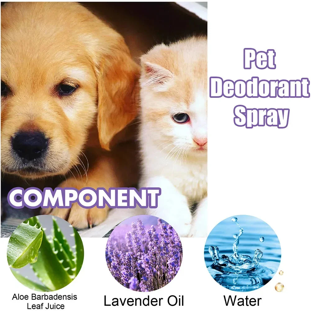 Pet Deodorization Spray 50ml Dog Perfume Lavender Oil Deodorization Spray Anti Itching Fragrant Pet  Cat and Dog Beauty Care