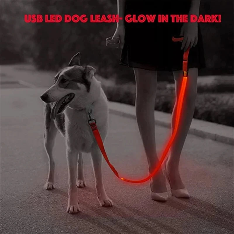 Glowing Led Dog Leash Usb Rechargeable Pet Dog Flashing Nylon Webbing Leashes- 3 Lighting Modes Keep Your Pets Safe In Darkness