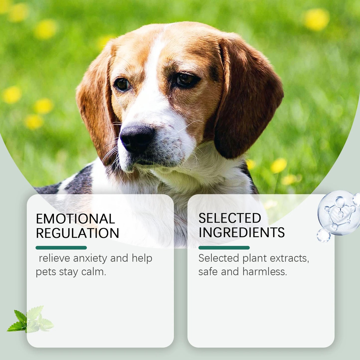 Pet Anxiety-Relief Dietary Supplement Easy to Feed Effectively Relieves Discomfort in Cats Dogs Easily Absorbed Soothing Drops