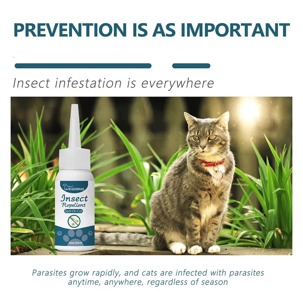 1pcs Pet Flea Killer Drops Anti Fleas Cats Ticks Lice Mite Removal Relieve Itching Dogs Ringworm Treatment Pet Insect Removal