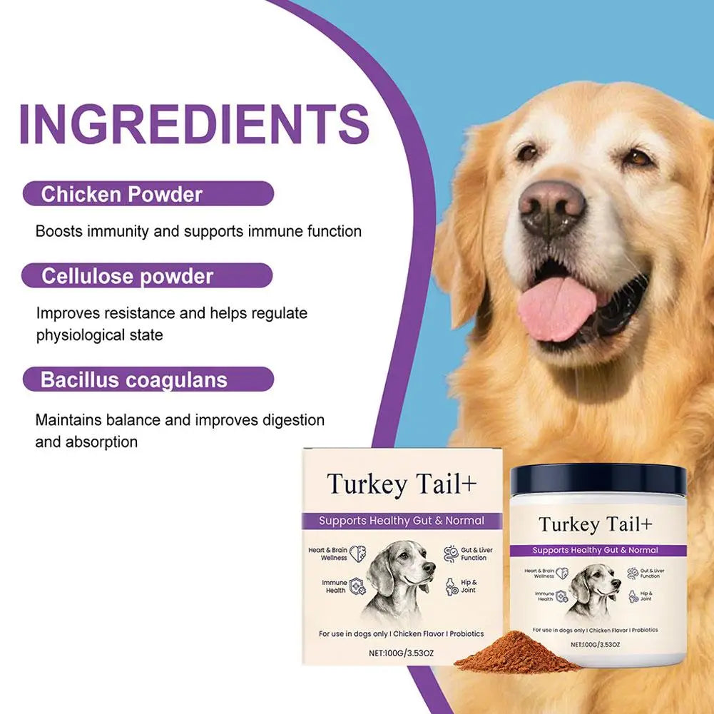 Dog Probiotic Intestinal Powder Delicious Bacon Flavor Digestive Support Long Shelf Life Premium Pet Health Supplement