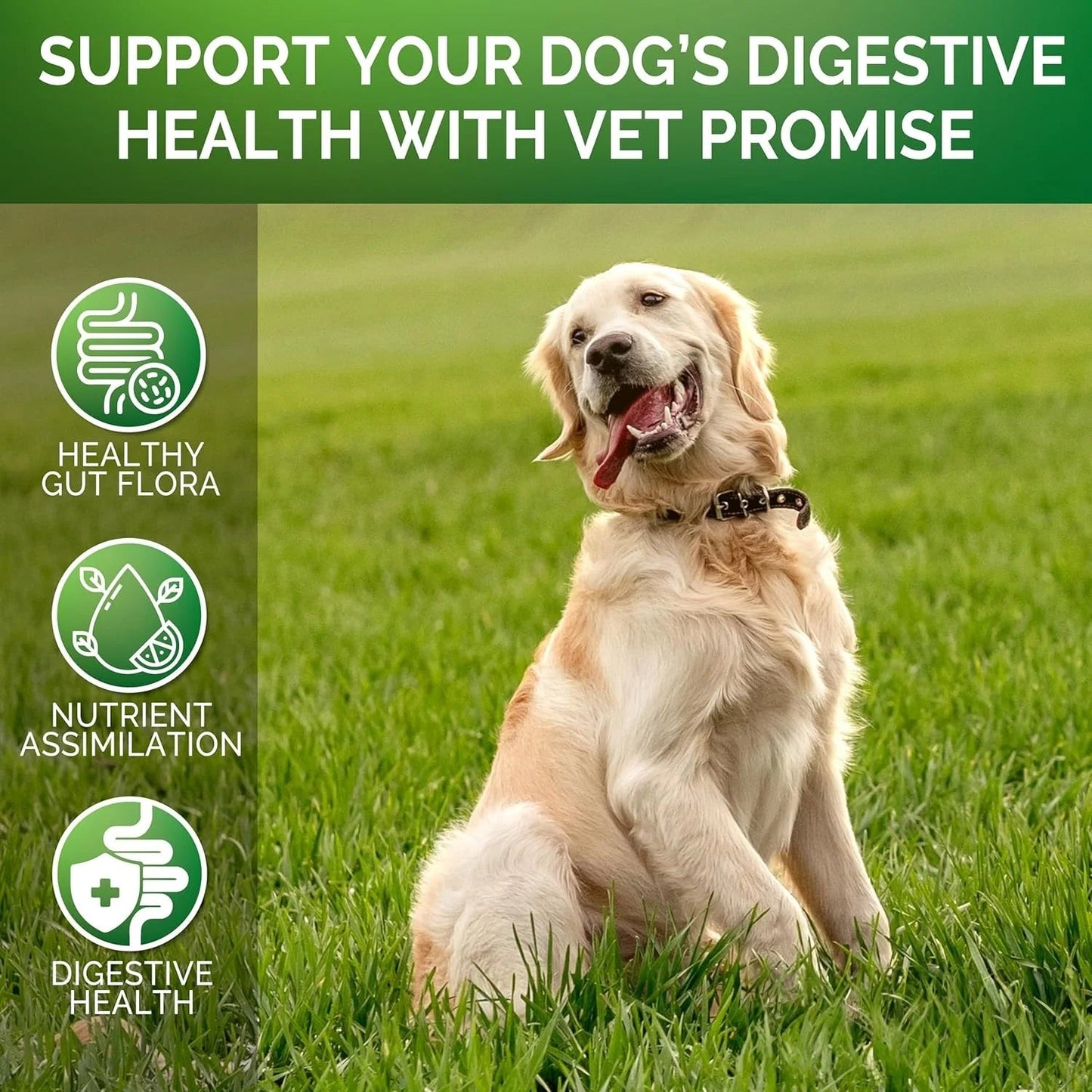 【120 Chews】Probiotics for Dogs-  - Relieve stomach sensitivity and dog gut health probiotics - Digestive Remedies Happy Tails Pet Shop Store