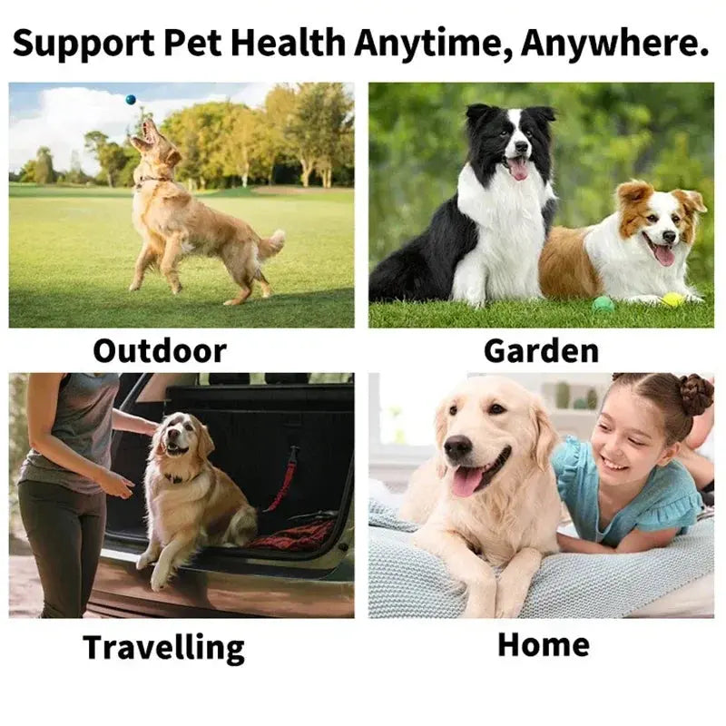Wet Tissue Eye Tear Stain Remover Care Pet Cleaning Supplies Tartar Removal Clean Dogs Cats Eliminator Healthly Hygiene Products Happy Tails Pet Shop Store