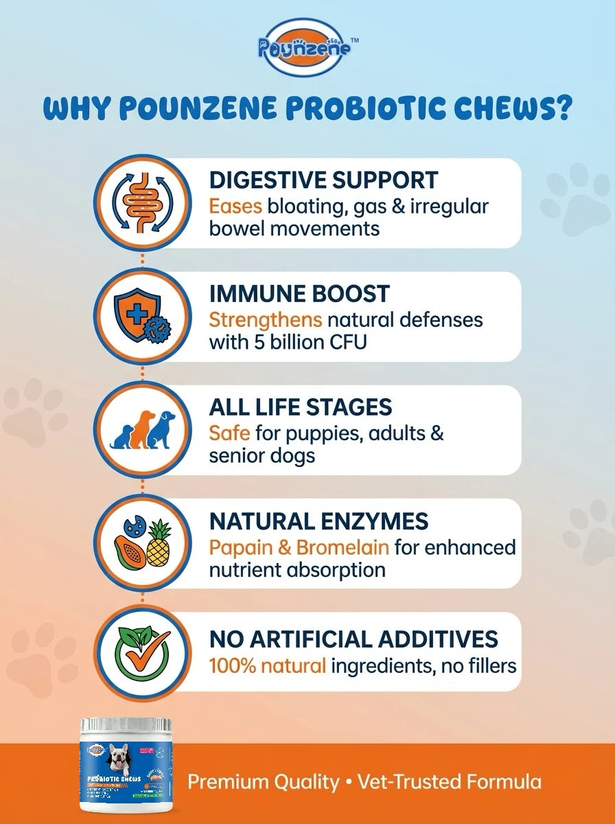 【100 Chews】Probiotics for Dogs-  - Relieve stomach sensitivity and dog gut health probiotics - Digestive Remedies Happy Tails Pet Shop Store