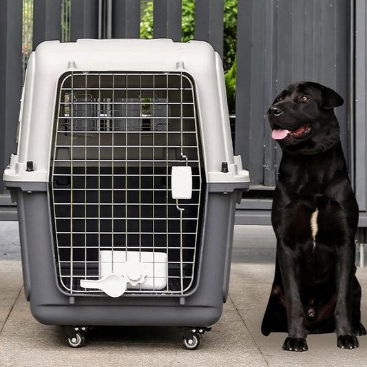 Pet Cat Carrier Length 33in/Width 21.6in/Height 25.2in with Handle & Metal Door Airline Approved Pet Carrier for Puppies Kittens Happy Tails Pet Shop Store