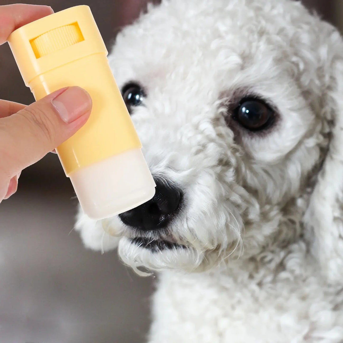 1pcs Paw Balm Dog Cream Beeswax Moisturizer Feet Softener Cats Small Pets Household Supplies Cat Health Products Happy Tails Pet Shop Store