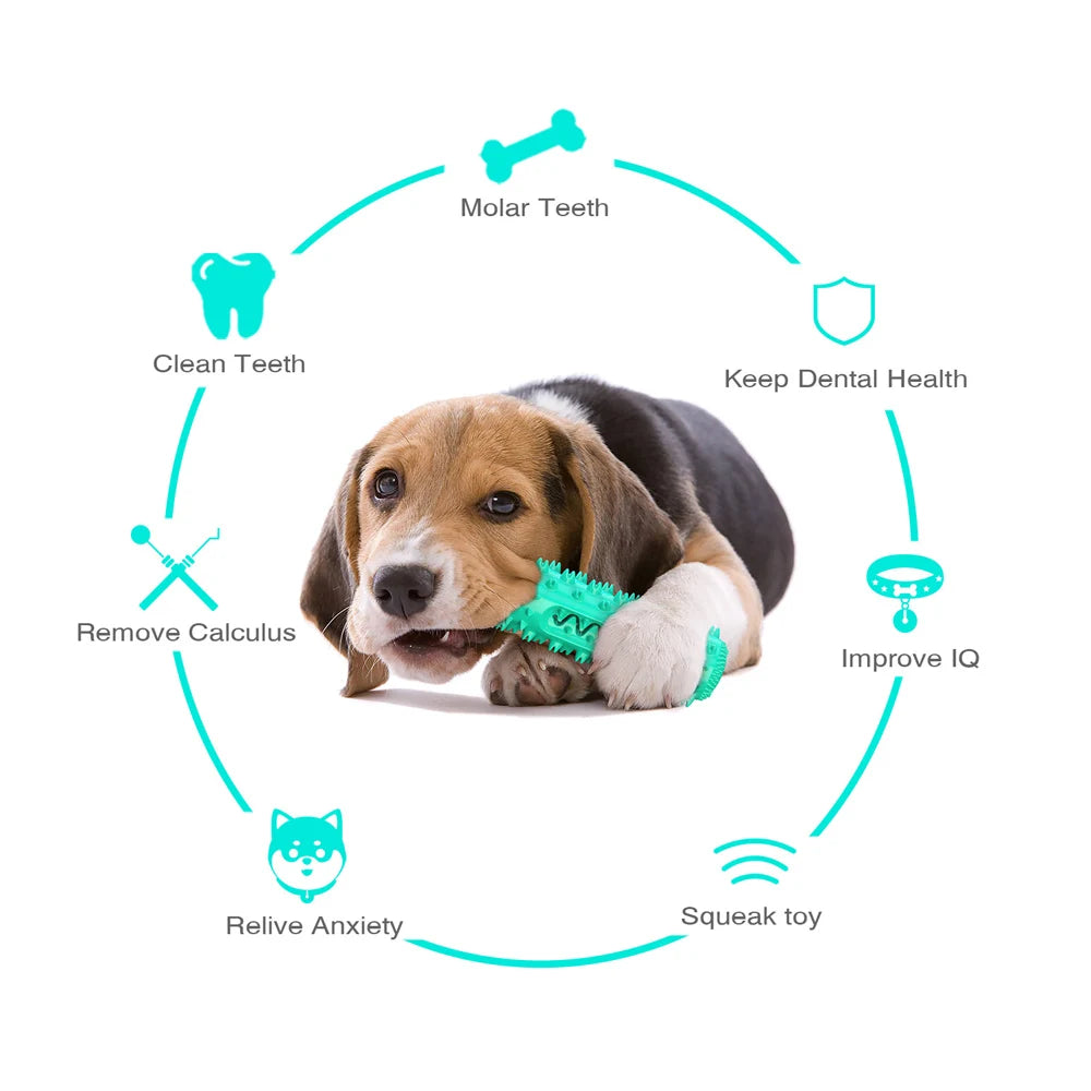 Dog Molar Toothbrush Toys Chew Cleaning Teeth Elasticity Soft Puppy Dental Care Extra-tough Pet Cleaning Toy Supplies Dog toys Happy Tails Pet Shop Store