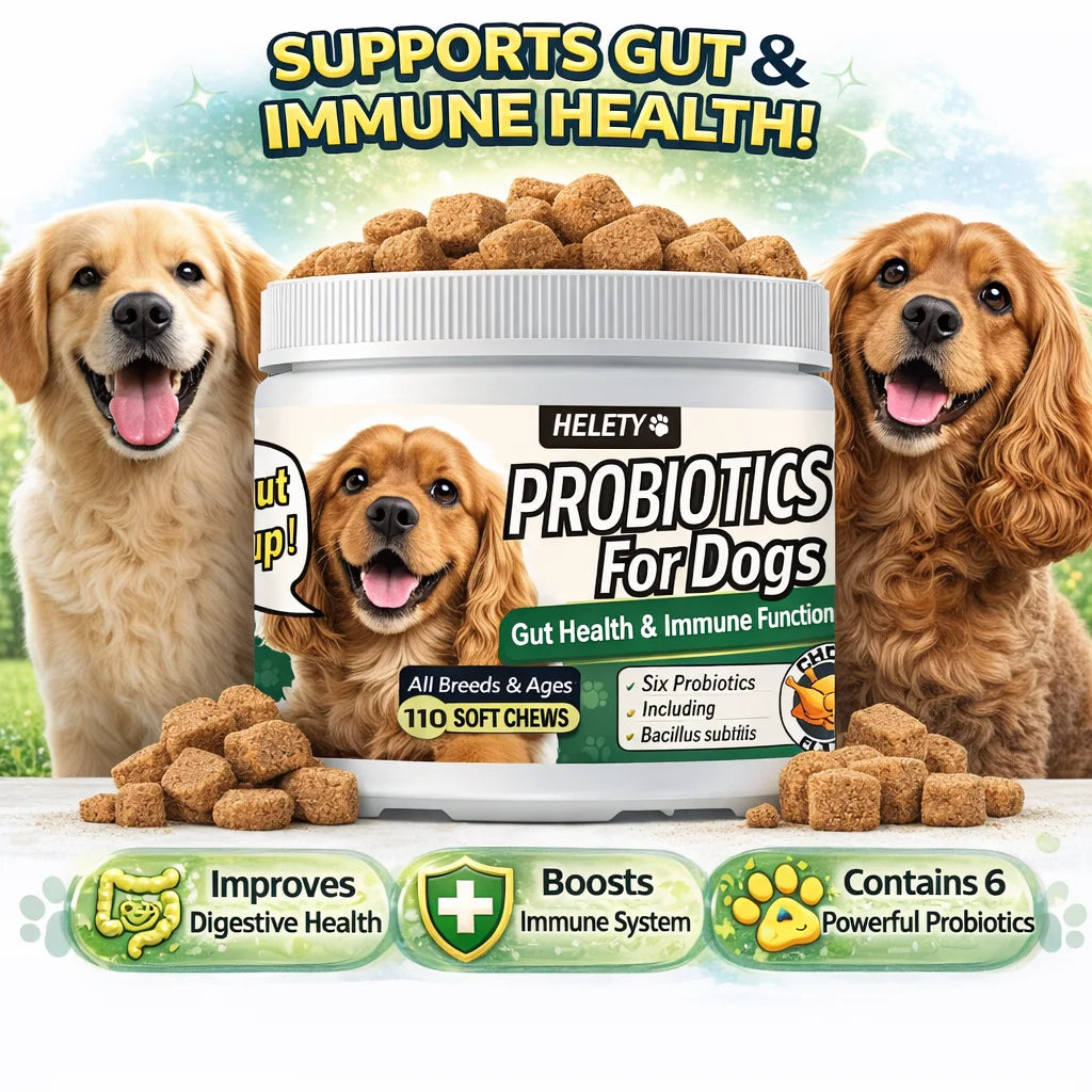 Probiotics for Dogs Digestive Health Soft Chews with Pumpkin & Fish Oil 120 Count Gut Health Itchy Relief Dog Probiotic Suppleme Happy Tails Pet Shop Store