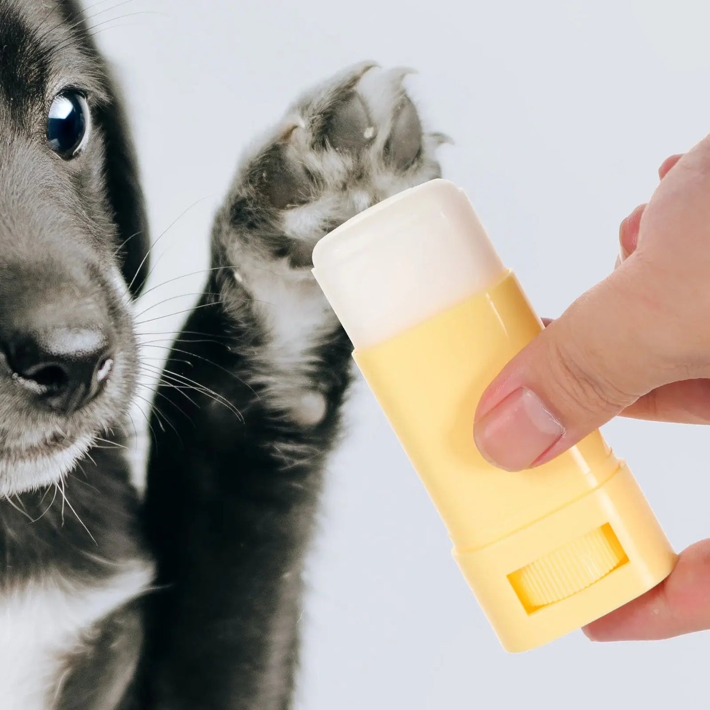 Paw Balm Moisturizer for Dog Paws Foot Care Cream Protector Pet Supplies Cat Health Products Winter Care Anti Cracked Safe Non Happy Tails Pet Shop Store