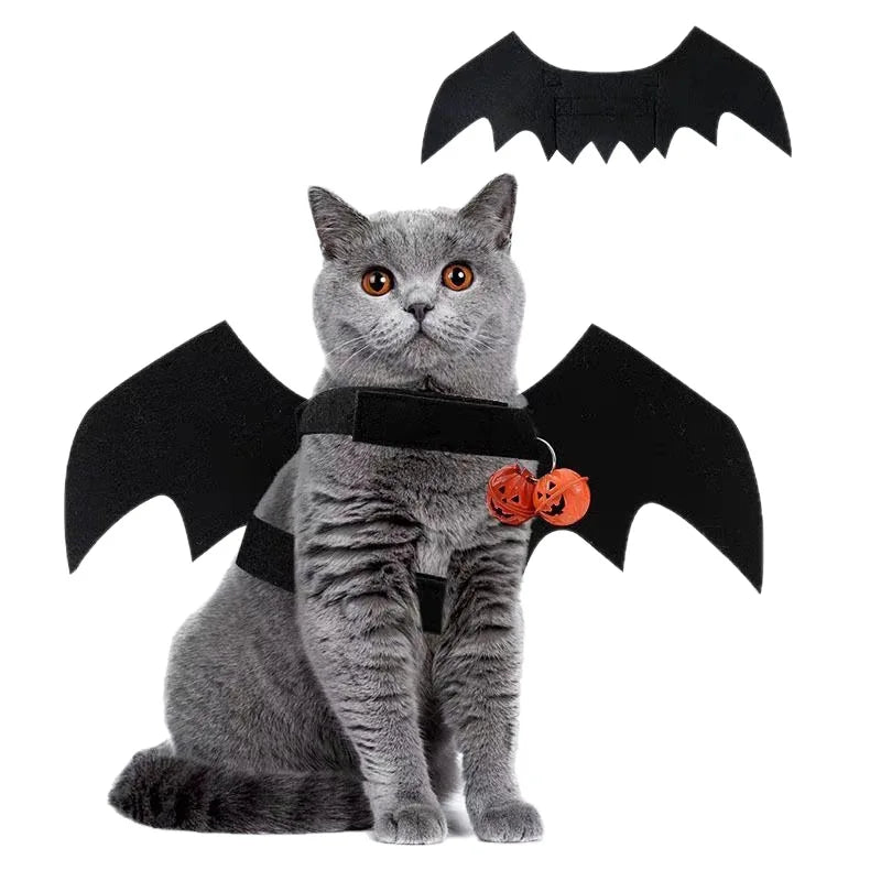 Cute Cat Cosplay Costume – Black Bat Wings with Safety Belt, Role-Playing Pet Cat Dog Halloween Party Decoration Supplies Happy Tails Pet Shop