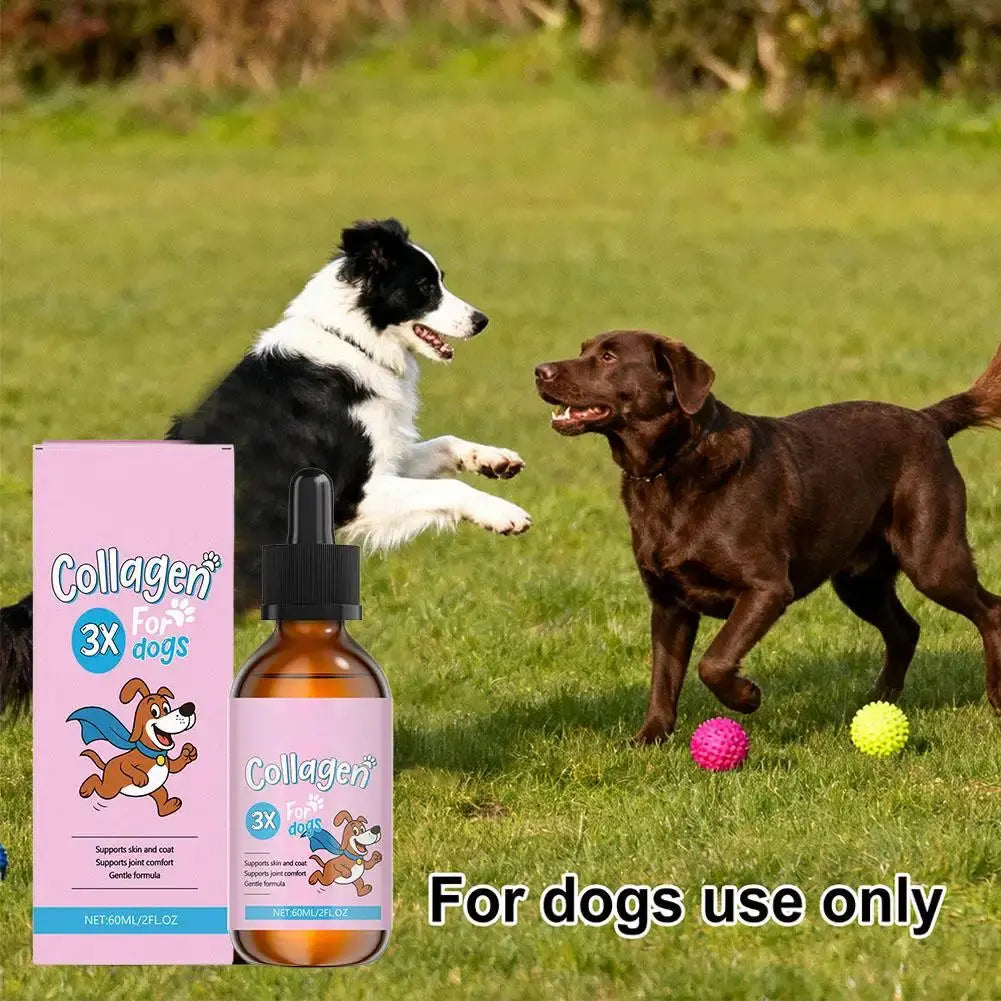 60ml Winter Dog Hair Care Product Liquid Collagen For Repair Intestines And Improve Health Of The Digestive System For Pet Happy Tails Pet Shop Store