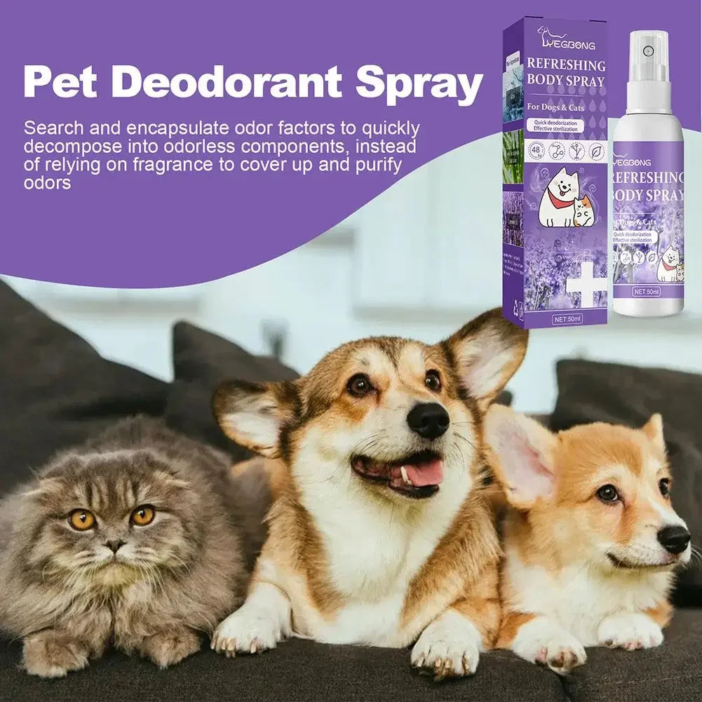 Rociador desodorante de larga duración para perros de aceite de lavanda, para cachorros, gatos, perros, para desodorizar el mal olor, perfume en espray, elimina el olor, refresca el aire
