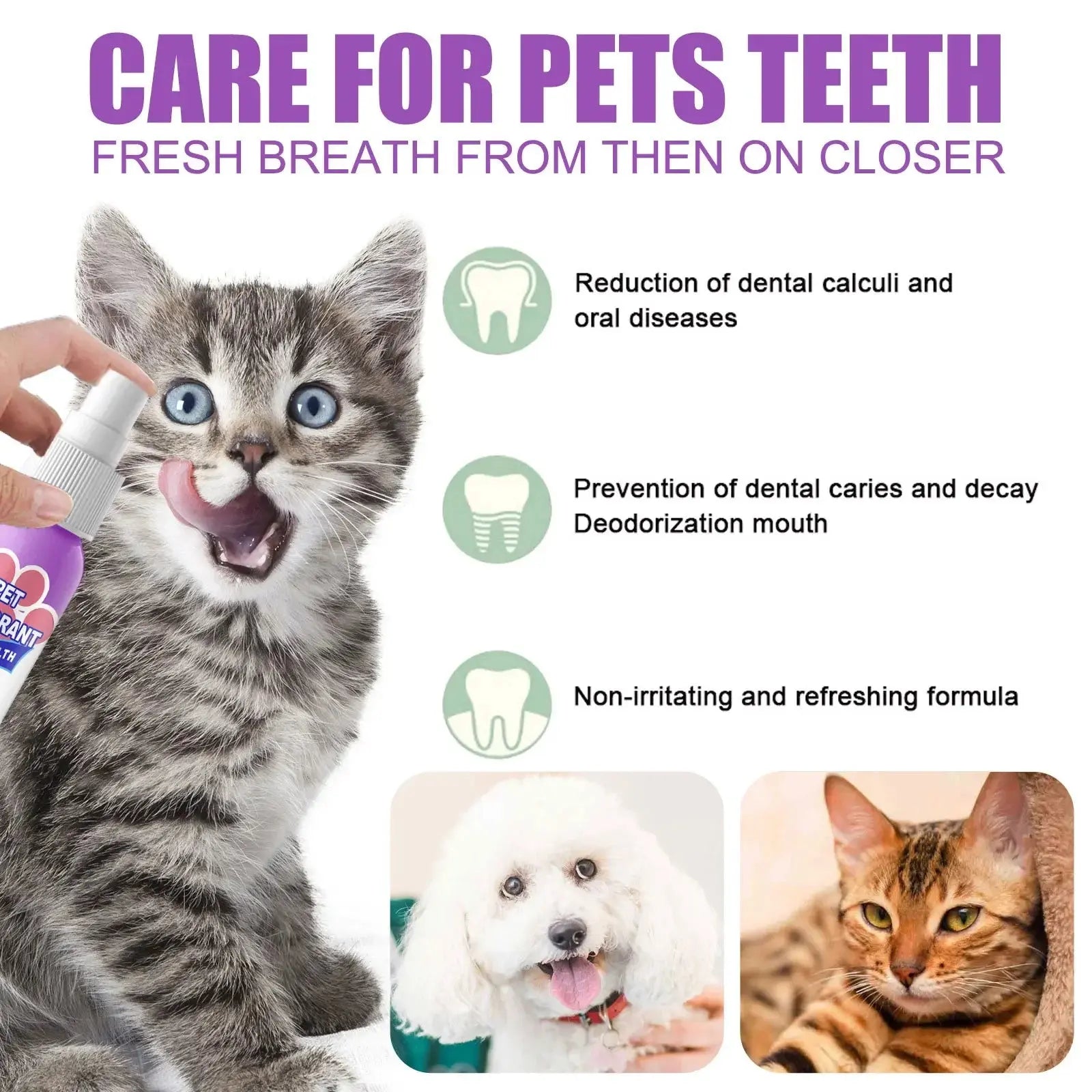 60ml Dog Deodorant Spray Swallowable Dog Bad Breath Spray Practical Pet Dog Mouth Cleaning Spray Oral Health Care Pet Products Happy Tails Pet Shop Store