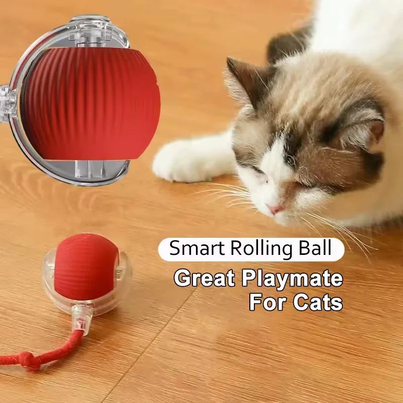 Hot Electric Dog Ball Toys Automatic Rolling Ball Rechargeable Smart Pet Interactive Plush Toy Dog Cat Training Imitate Mouse Happy Tails Pet Shop Store